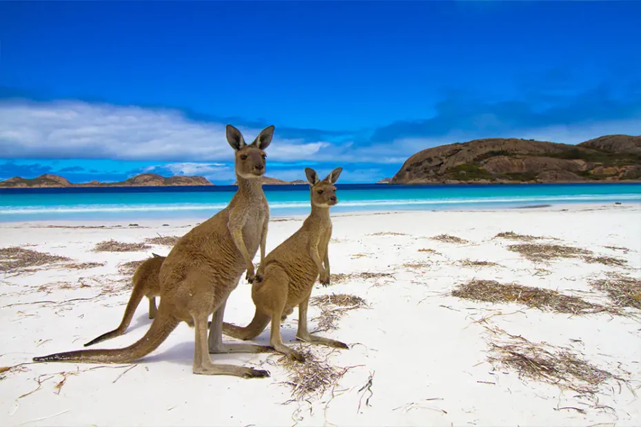 Top 5 Unique Destinations in Australia